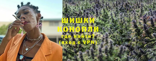 гидра Белокуриха