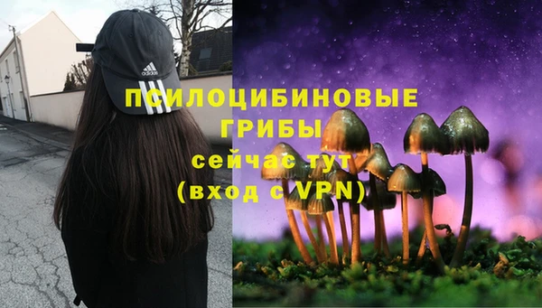 спиды Беломорск