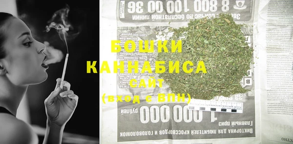 гидра Белокуриха