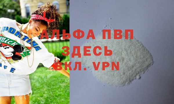 гидра Белокуриха